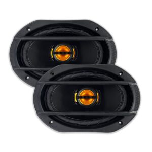 PAR FALANTE LESON JB69 FLEX 6X9" 110 WRMS (PAR) 4 OHMS 2LS055069