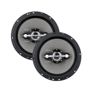 PAR FALANTE LESON 6" 140 WRMS (PAR) 4 OHMS 2LS070060